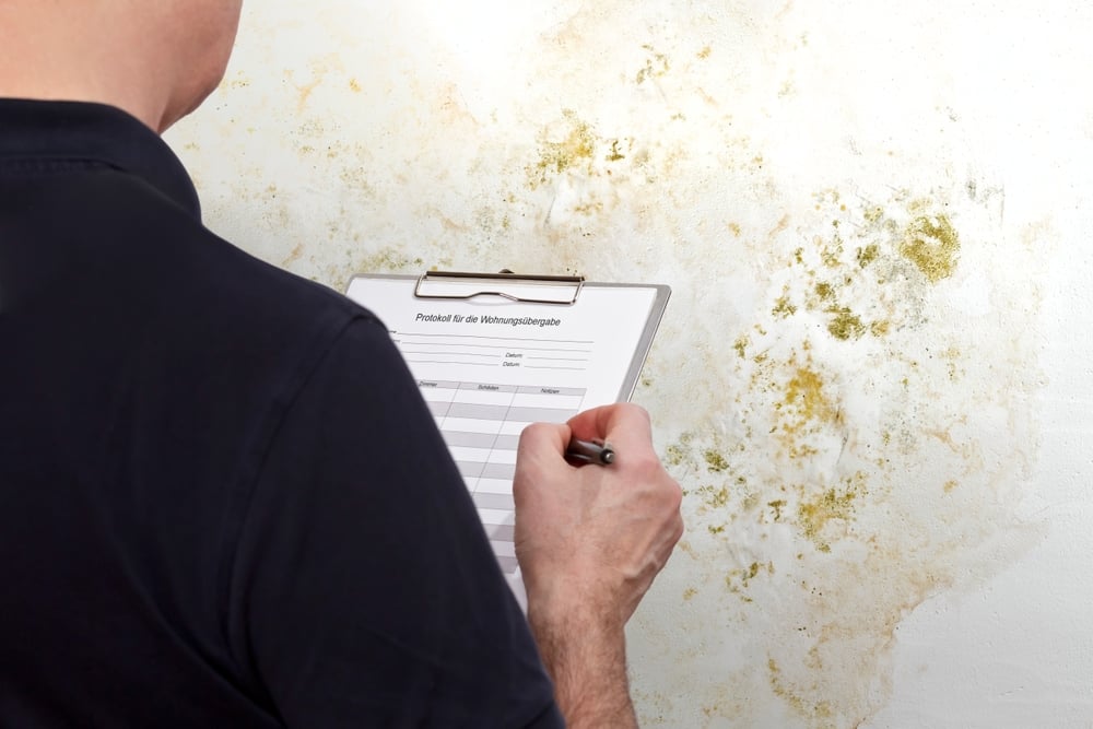 How landlords can deal with mould issues How landlords can deal with mould issues