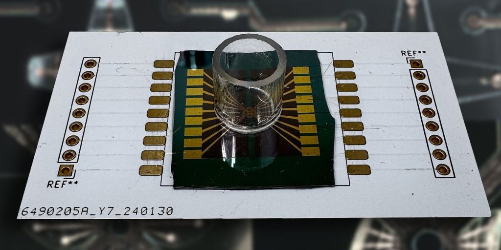 Biochips Mimic the Brain to Cut AI Energy Use