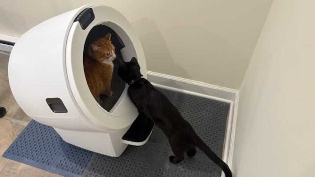 Whisker Litter-Robot 5 Pro review: This $900 litter box may be almost too high-tech for me