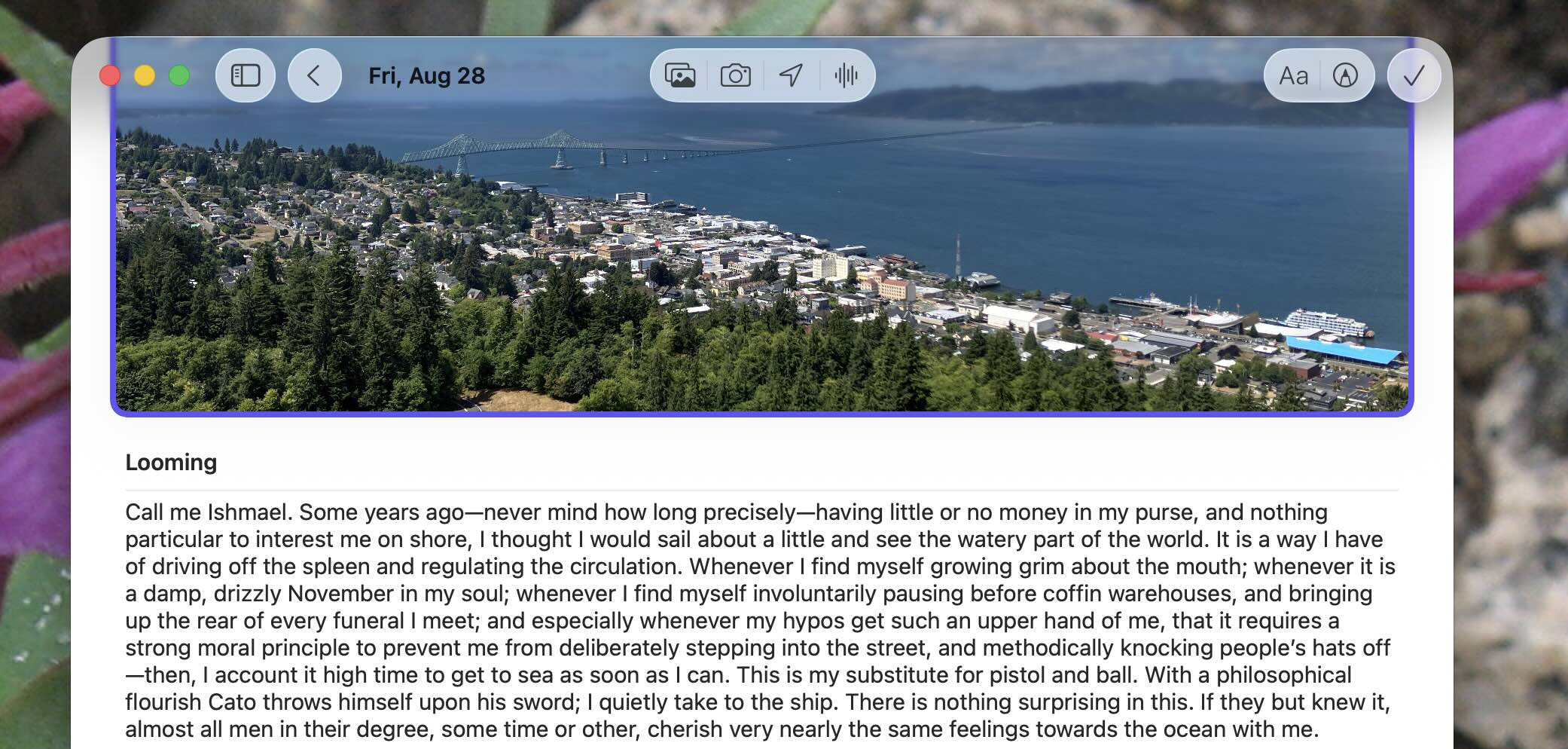 Apple Journal, our pick for the best free journal app for Apple users