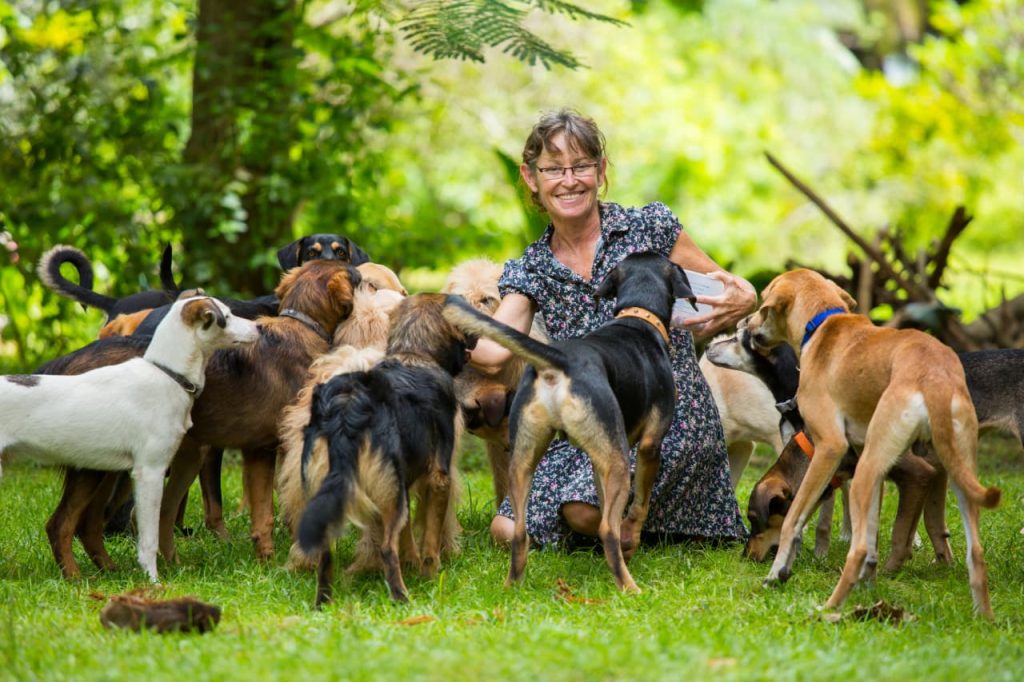 My friend grosses $300,000 a year with her pet-sitting business. She pays herself $50,000. Should I do the same? My friend grosses $300,000 a year with her pet-sitting business. She pays herself $50,000. Should I do the same?